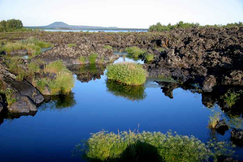 五大连池矿泉水